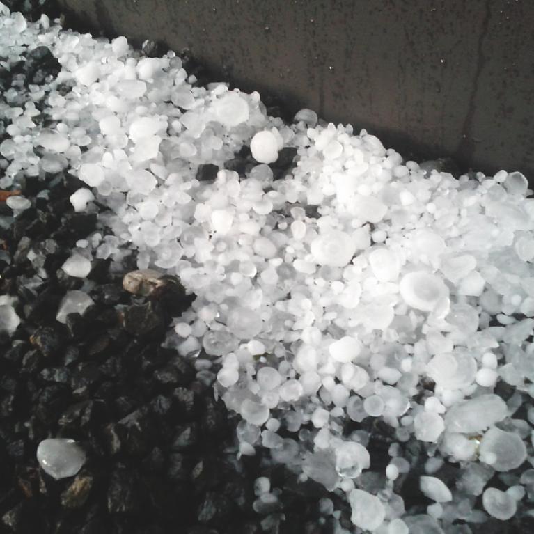 Hailstones A bunch of larger hailstones